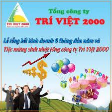 Công Ty CP Xnk Trí Việt 2000